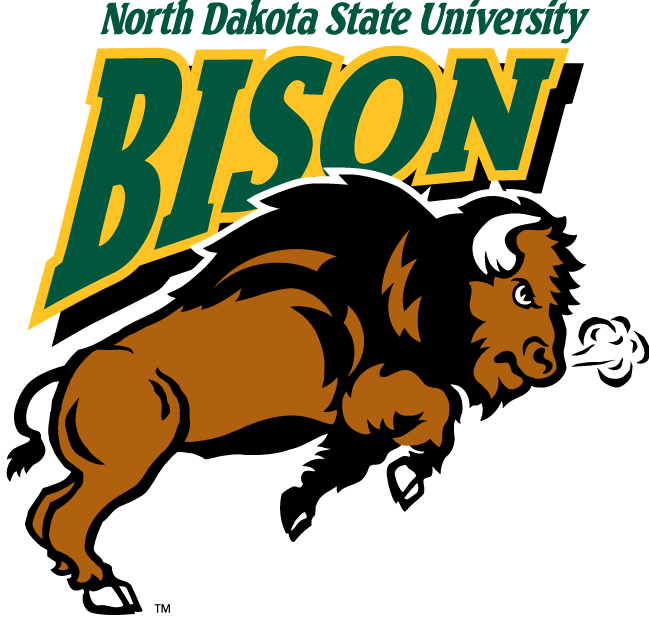 North Dakota State Bison 2005-2011 Alternate Logo 03 iron on paper